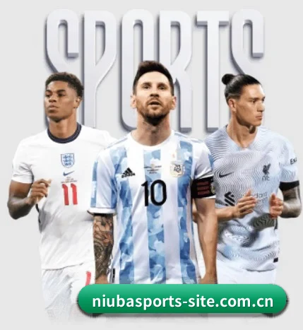 五大服务分区,信息按项目分类